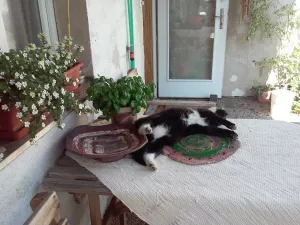 Z naší dílny... 