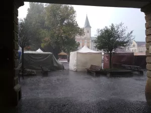 Z trhů... 